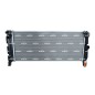 Radiatore Bmw 550362