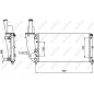 Radiatore Fiat 58072