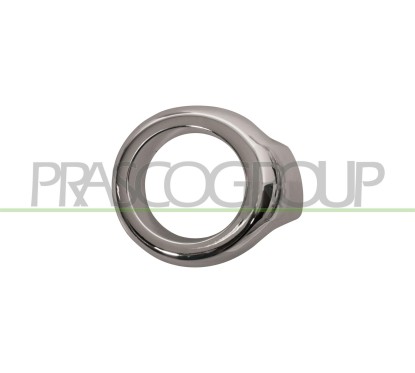 Cornice fendinebbia sinistro (Cromata) Ford Ecosport dal 2013 FD7501234