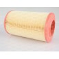 Filtro Aria EAF3011.20