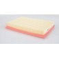 Filtro Aria EAF3013.10