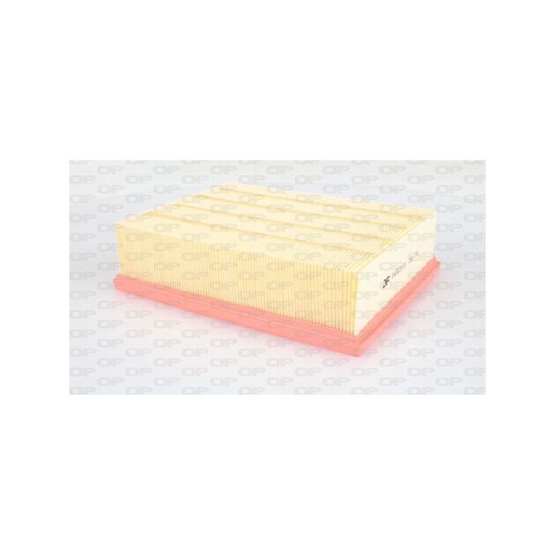 Filtro Aria EAF3025.10