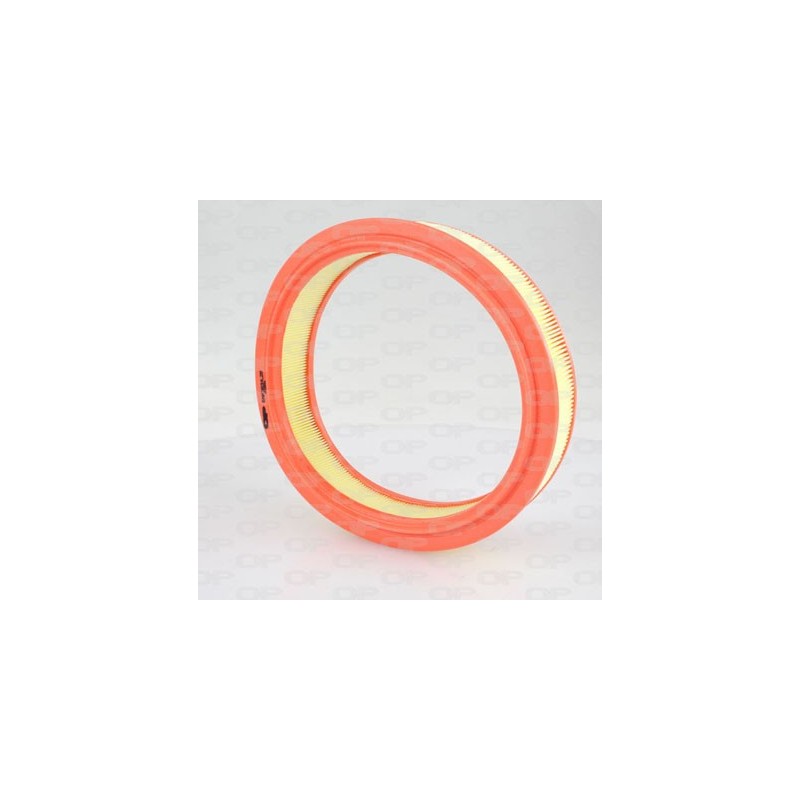Filtro Aria EAF3034.20