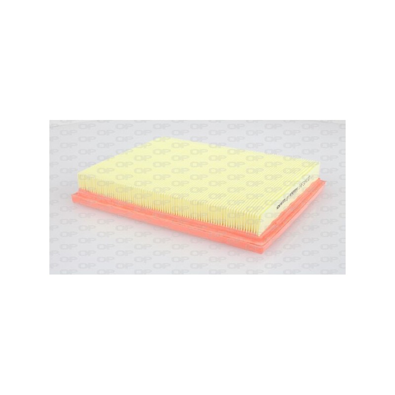 Filtro Aria EAF3041.10