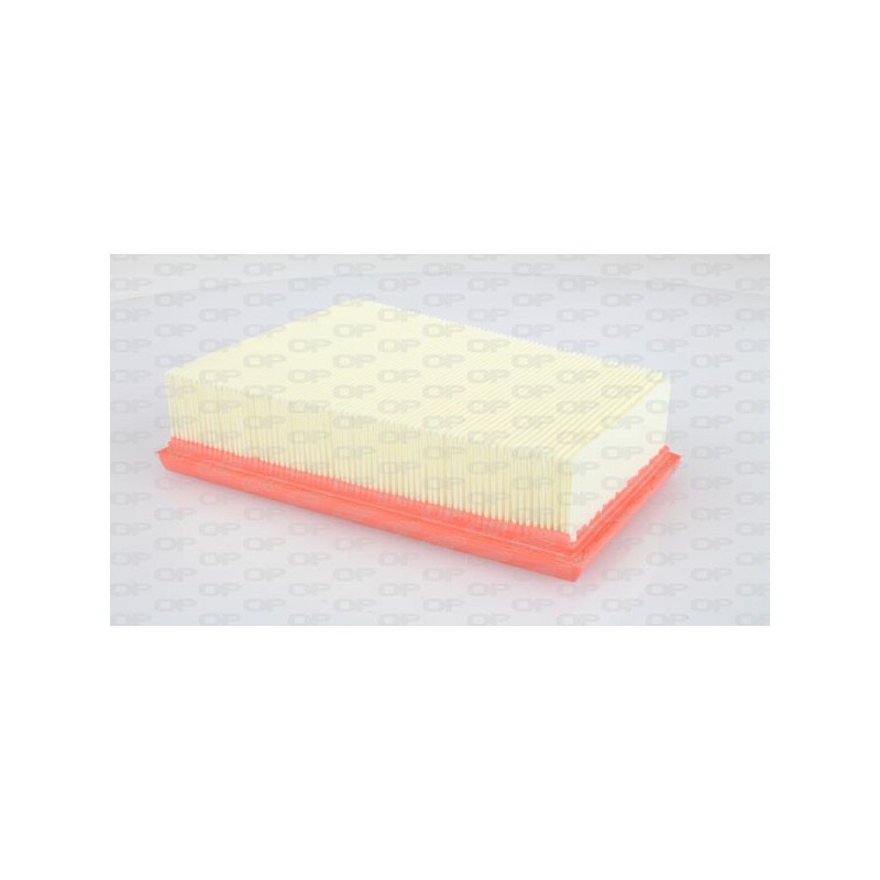 Filtro Aria EAF3051.10