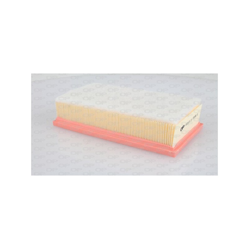 Filtro Aria EAF3105.10