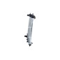 Radiatore Ford 59134