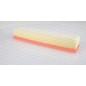 Filtro Aria EAF3162.10