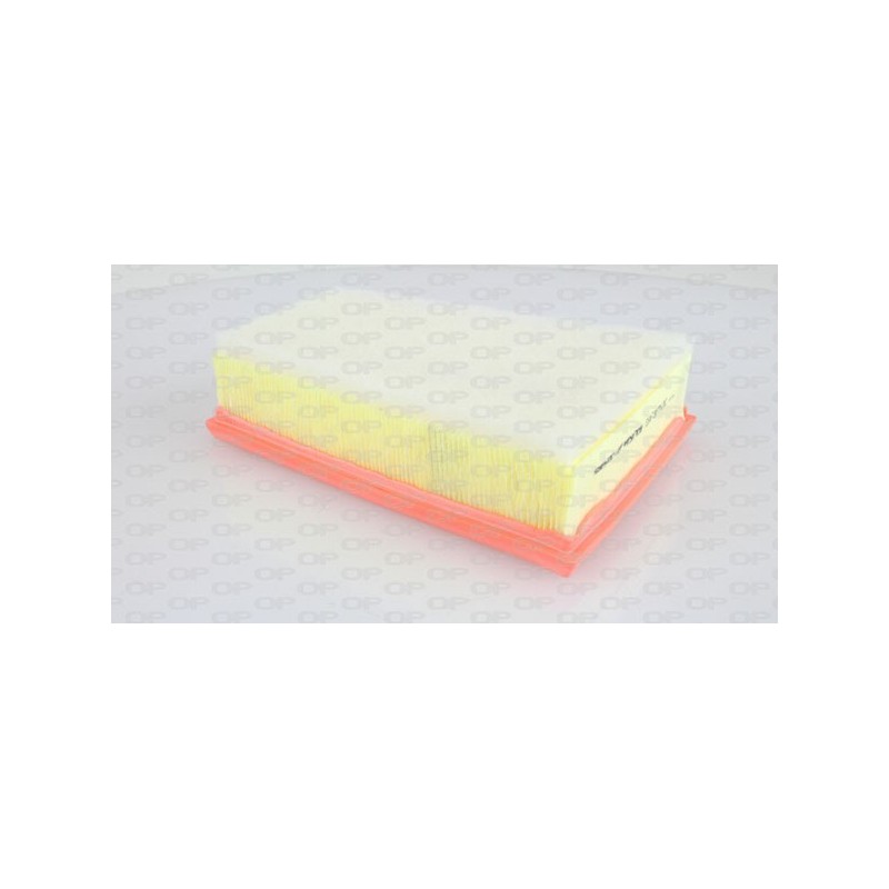 Filtro Aria EAF3170.10