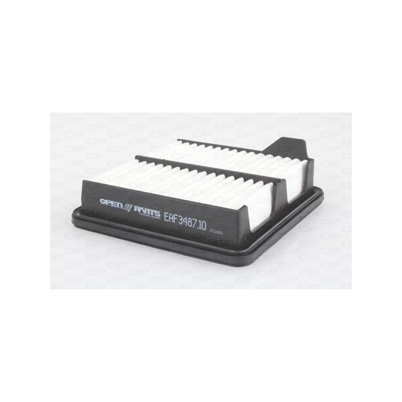 Filtro Aria EAF3487.10