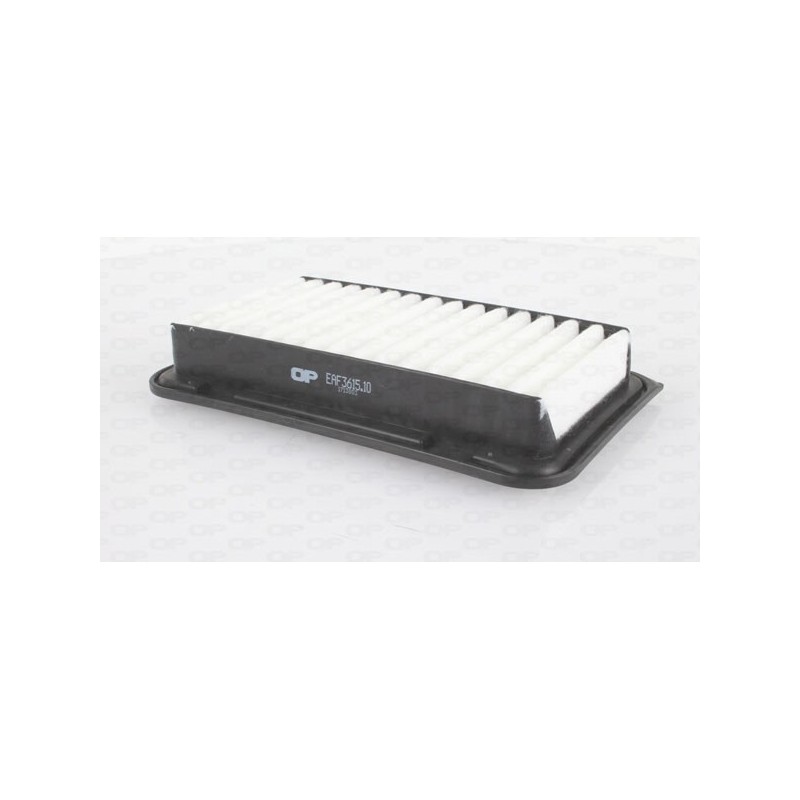 Filtro Aria EAF3615.10