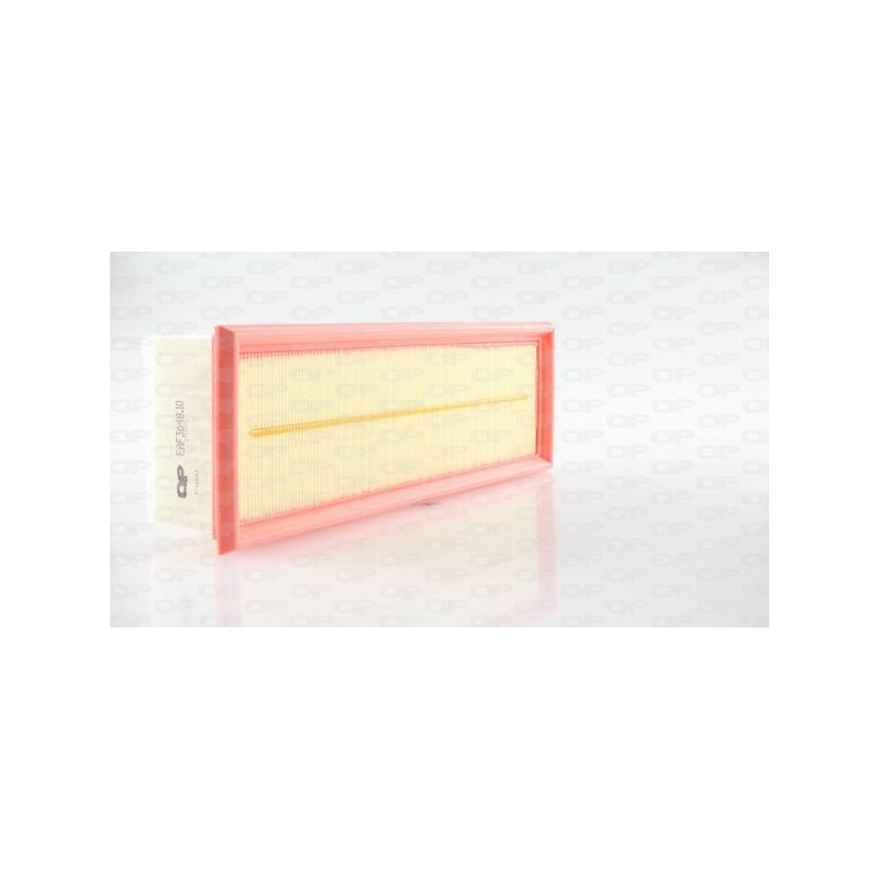 Filtro Aria EAF3648.10
