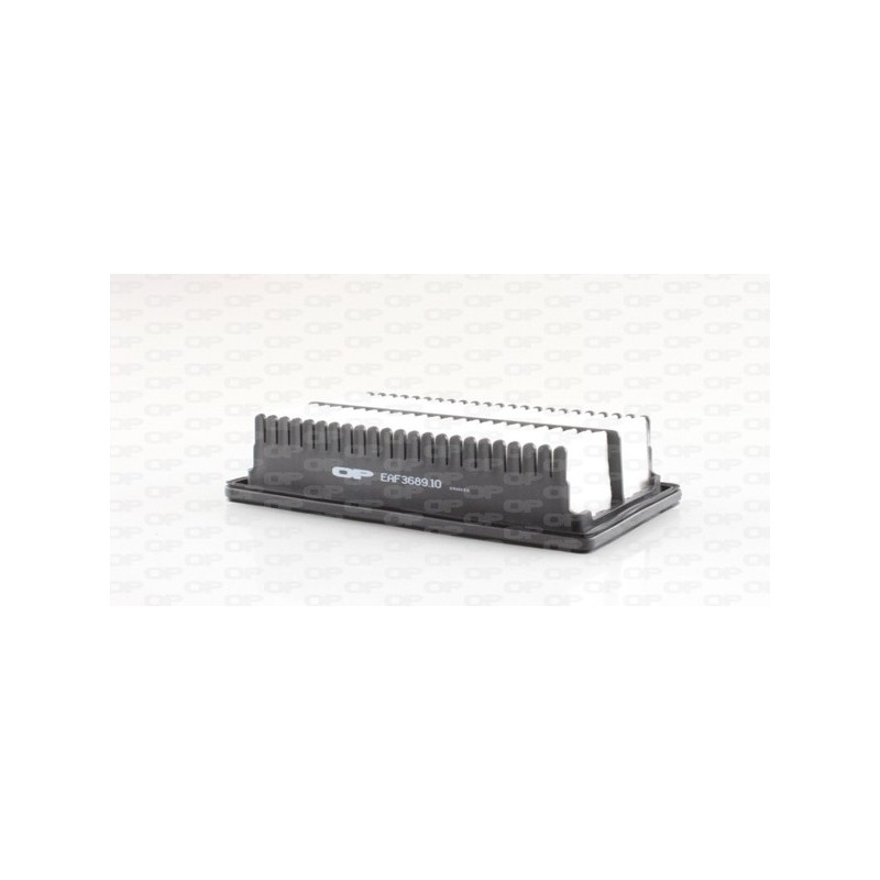 Filtro Aria EAF3689.10