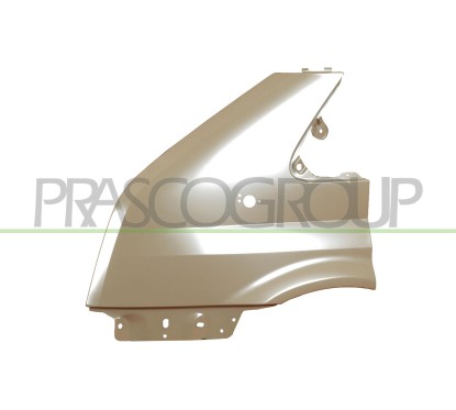 Parafango anteriore sinistro con Foro Lucciola per Ford Transit FD9123014