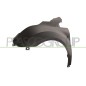 Parafango anteriore sinistro con Foro Lucciola per Ford Tourneo Connect FD9363014
