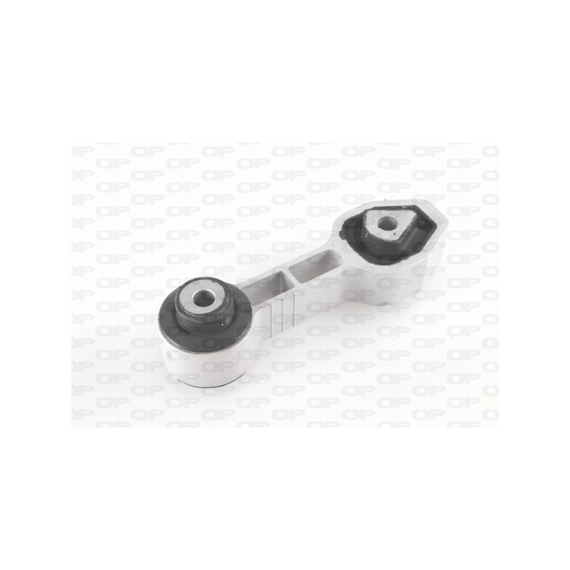 Supporto Motore EMS4051.00