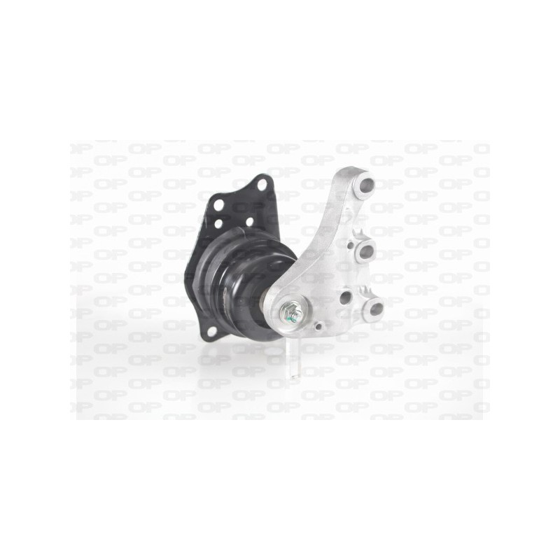 Supporto Motore EMS4195.00