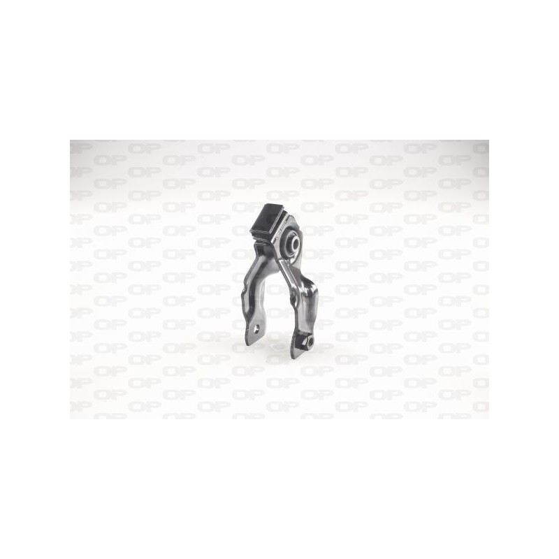 Supporto Motore EMS4242.00