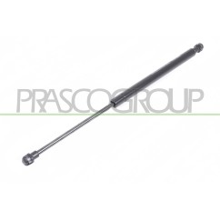 Molla A Gas destro/Sinistro Portellone posteriore (420N L.410MM) per Fiat Panda e Panda 4X4 - Natural Power FT1249065 -