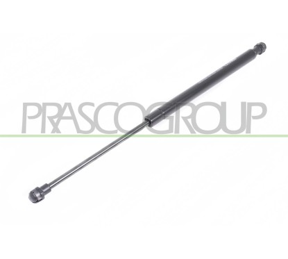 Molla A Gas destro/Sinistro Portellone posteriore (420N L.410MM) per Fiat Panda e Panda 4X4 - Natural Power FT1249065