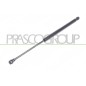 Molla A Gas destro/Sinistro Portellone posteriore (420N L.410MM) per Fiat Panda e Panda 4X4 - Natural Power FT1249065