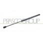 Molla A Gas destro/Sinistro Portellone posteriore (300N L.445MM) per Fiat Punto (176) FT1329055
