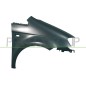 Parafango anteriore destro con Foro Lucciola per Fiat Idea FT3503013