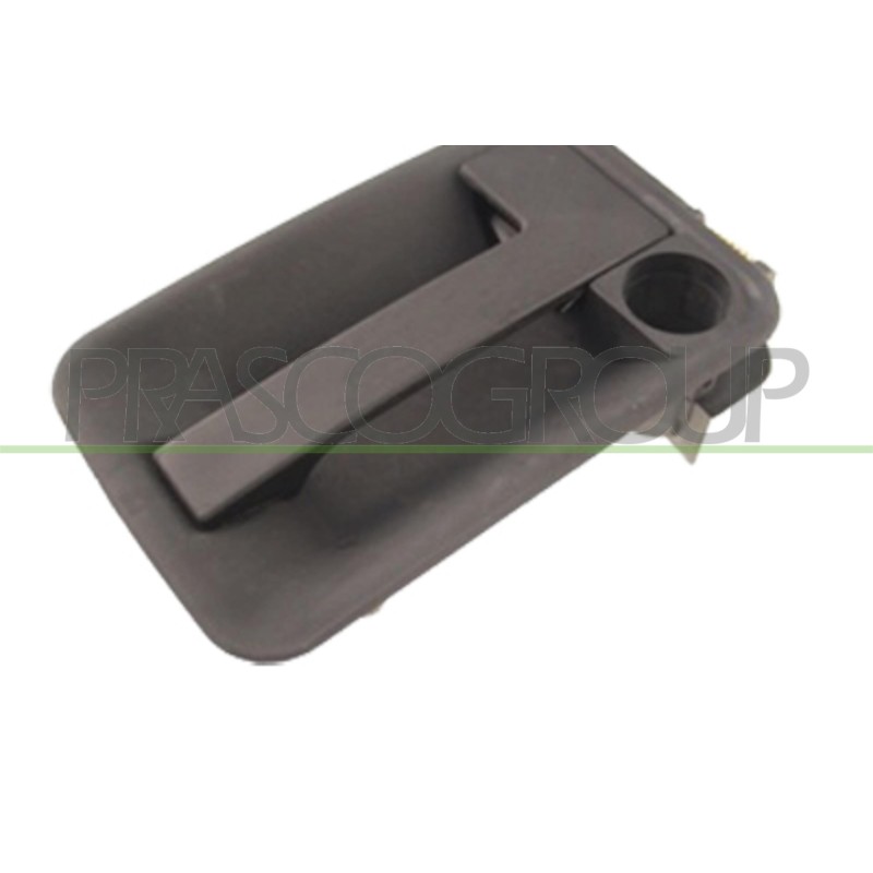 Maniglia Esterna Porta di Carico A Battente-Con Fo FT9218301