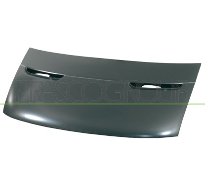 Cofano per Iveco Daily FT9263100