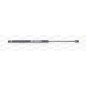 Molla A Gas Portellone posteriore destro/Sinistro per Fiat Punto (188) e Punto (3 Porte) (188) GSR6013.00