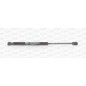 Molla A Gas Portellone posteriore destro/Sinistro per Mercedes Slk (R170) GSR6070.00