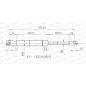 Molla A Gas Portellone posteriore destro/Sinistro per Citroen C4 GSR6074.00