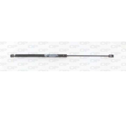 Molla A Gas Portellone posteriore destro/Sinistro per Opel Astra G GSR6100.00