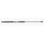 Molla A Gas Portellone posteriore destro/Sinistro per Ford Fiesta (MK6) GSR6102.00