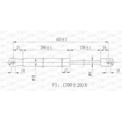 Molla A Gas Portellone posteriore destro/Sinistro per Ford Focus GSR6113.00 - 80-GSR6113.00 - 80-GSR6113.00