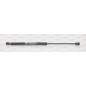 Molla A Gas Portellone posteriore destro/Sinistro per Ford Ka (Rb) GSR6139.00