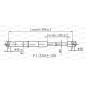 Molla A Gas Portellone posteriore destro/Sinistro per Renault Twingo GSR6591.00