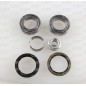 Kit Cuscinetto Mozzo Ruota HBK5055.00