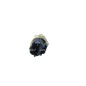 Sensore Temperatura Liquido Refrigerante Ford 727048