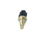 Sensore Temperatura Liquido Refrigerante Ford 727048
