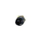 Sensore Temperatura Liquido Refrigerante Bmw 727056