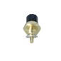 Sensore Temperatura Liquido Refrigerante Honda 727061