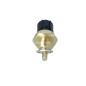 Sensore Temperatura Liquido Refrigerante Honda 727061