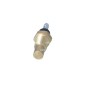 Sensore Temperatura Liquido Refrigerante Kia 727101