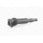 Bobina Accensione IGN1004.00