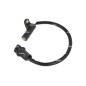 Sensore Numero Giri Albero Motore 755122