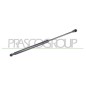 Molla A Gas Lunotto posteriore destro/Sinistro per Smart Fortwo ME3089055