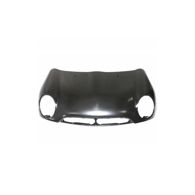 Cofano - Mod. One/Cooper per Mini One/Cooper (R50,R53) MN3043100