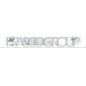 Rinforzo Paraurti anteriore (Alluminio) Corsa dal 2019 per Opel Corsa F e Peugeot 208 OP0381622