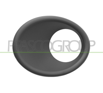Cornice fendinebbia sinistro per Peugeot 206 Plus PG0111242